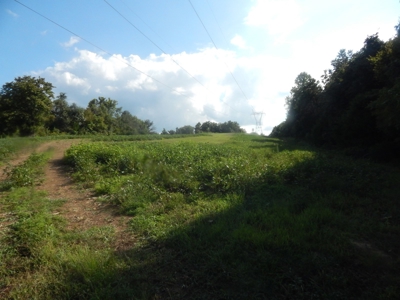 280 Ac. Farm Land In Tennessee, Hunting Land, With A Creek!! - image 18