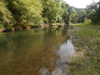 280 Ac. Farm Land In Tennessee, Hunting Land, With A Creek!! - image 33