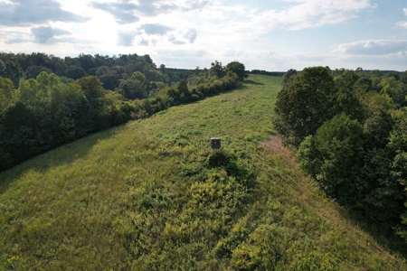 280 Ac. Farm Land In Tennessee, Hunting Land, With A Creek!! - image 45