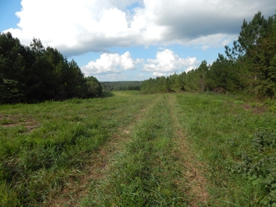 280 Ac. Farm Land In Tennessee, Hunting Land, With A Creek!! - image 1