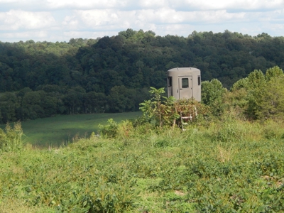280 Ac. Farm Land In Tennessee, Hunting Land, With A Creek!! - image 23