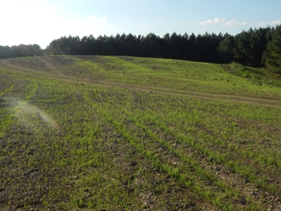 280 Ac. Farm Land In Tennessee, Hunting Land, With A Creek!! - image 37