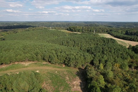 280 Ac. Farm Land In Tennessee, Hunting Land, With A Creek!! - image 48
