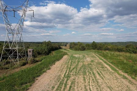 280 Ac. Farm Land In Tennessee, Hunting Land, With A Creek!! - image 47