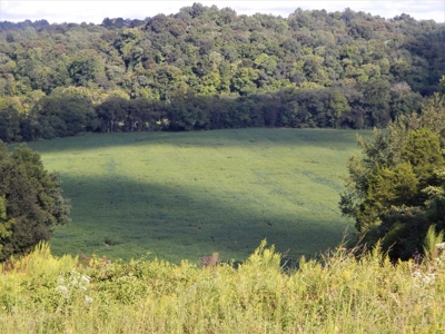 280 Ac. Farm Land In Tennessee, Hunting Land, With A Creek!! - image 24