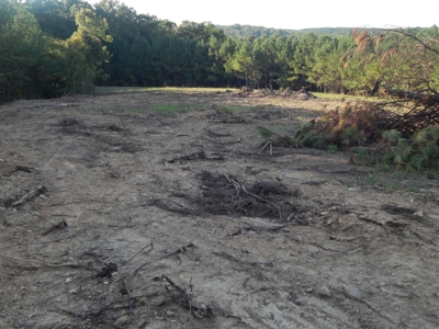 280 Ac. Farm Land In Tennessee, Hunting Land, With A Creek!! - image 39