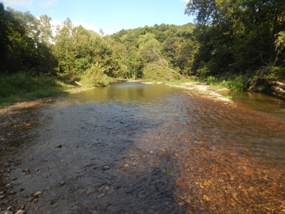 280 Ac. Farm Land In Tennessee, Hunting Land, With A Creek!! - image 27