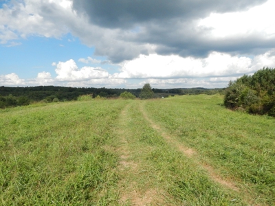 280 Ac. Farm Land In Tennessee, Hunting Land, With A Creek!! - image 42