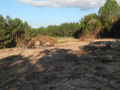 280 Ac. Farm Land In Tennessee, Hunting Land, With A Creek!! - image 40