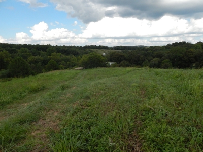 280 Ac. Farm Land In Tennessee, Hunting Land, With A Creek!! - image 6