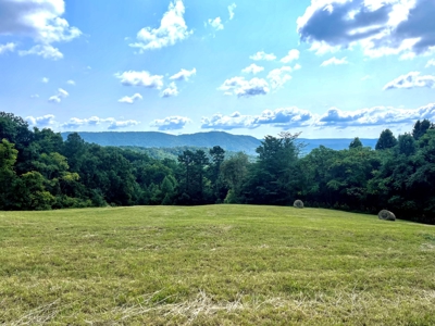 Land for Sale in Tazewell, TN - image 2