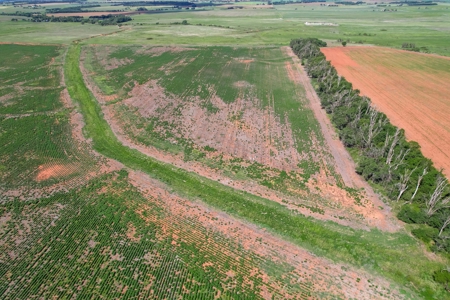 Western Oklahoma Farm for Sale, Washita County - Tract #1 - image 4