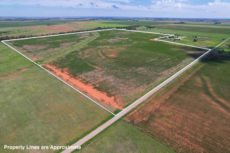 Western Oklahoma Farm for Sale, Washita County - Tract #1 - image 1