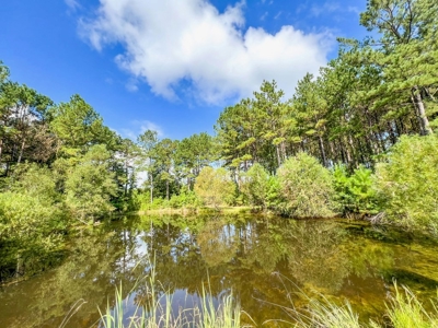3 Bed/2.5 Bath Lodge for Sale on Creek in Amite County, MS - image 41