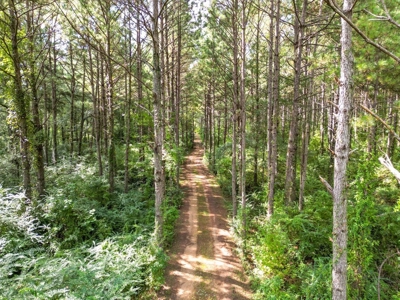3 Bed/2.5 Bath Lodge for Sale on Creek in Amite County, MS - image 14