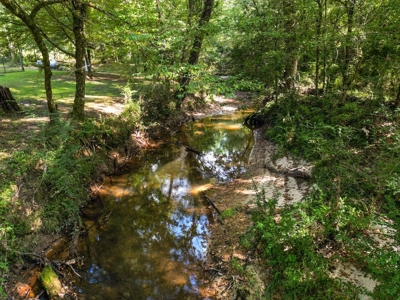 3 Bed/2.5 Bath Lodge for Sale on Creek in Amite County, MS - image 7