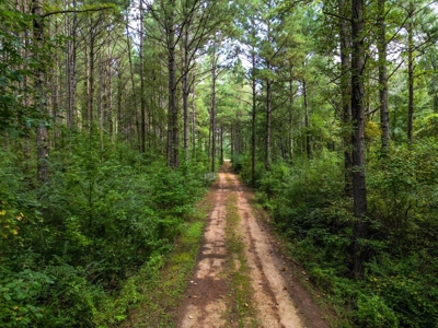 3 Bed/2.5 Bath Lodge for Sale on Creek in Amite County, MS - image 16