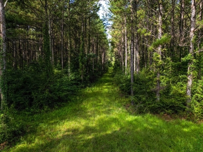 3 Bed/2.5 Bath Lodge for Sale on Creek in Amite County, MS - image 13