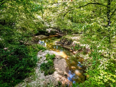3 Bed/2.5 Bath Lodge for Sale on Creek in Amite County, MS - image 6