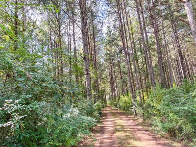 3 Bed/2.5 Bath Lodge for Sale on Creek in Amite County, MS - image 44