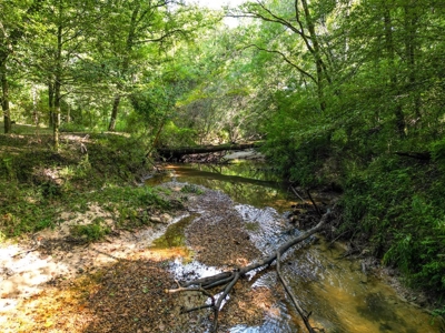 3 Bed/2.5 Bath Lodge for Sale on Creek in Amite County, MS - image 8