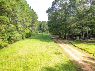 3 Bed/2.5 Bath Lodge for Sale on Creek in Amite County, MS - image 12