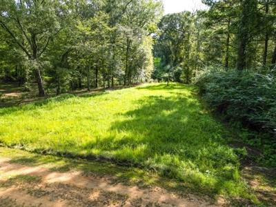 3 Bed/2.5 Bath Lodge for Sale on Creek in Amite County, MS - image 11