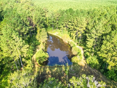 3 Bed/2.5 Bath Lodge for Sale on Creek in Amite County, MS - image 2