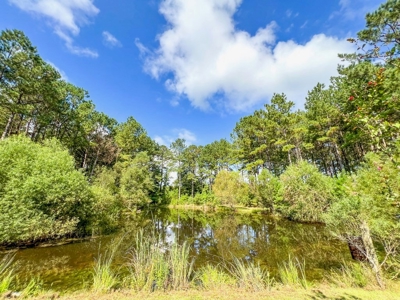 3 Bed/2.5 Bath Lodge for Sale on Creek in Amite County, MS - image 40
