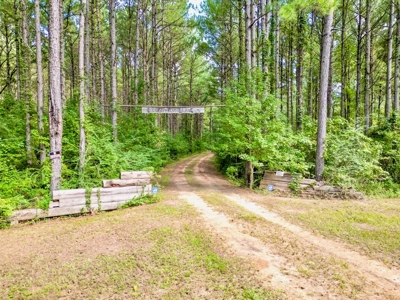 3 Bed/2.5 Bath Lodge for Sale on Creek in Amite County, MS - image 17