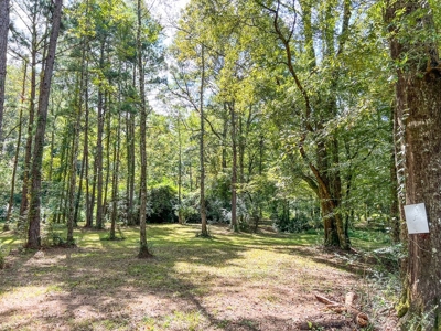 3 Bed/2.5 Bath Lodge for Sale on Creek in Amite County, MS - image 43