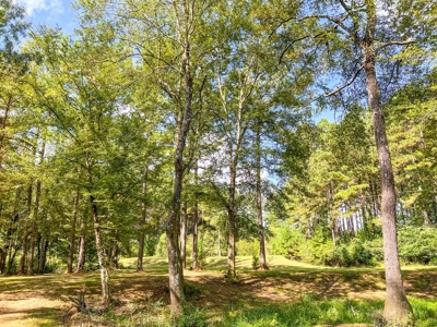 3 Bed/2.5 Bath Lodge for Sale on Creek in Amite County, MS - image 39