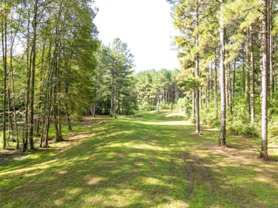 3 Bed/2.5 Bath Lodge for Sale on Creek in Amite County, MS - image 10