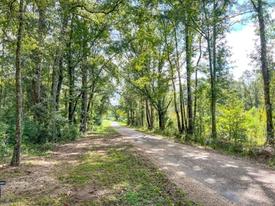 3 Bed/2.5 Bath Lodge for Sale on Creek in Amite County, MS - image 45
