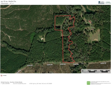 3 Bed/2.5 Bath Lodge for Sale on Creek in Amite County, MS - image 48
