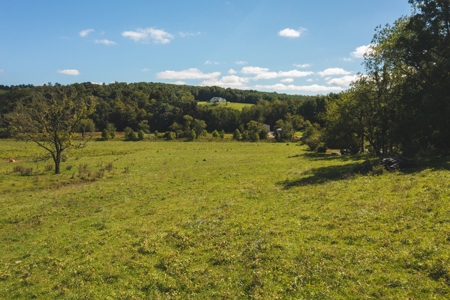 Land for Sale in Floyd County VA! - image 18