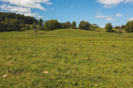 Land for Sale in Floyd County VA! - image 7