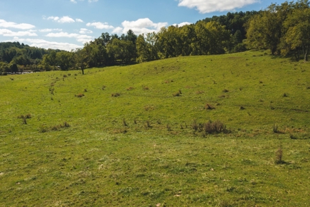 Land for Sale in Floyd County VA! - image 4