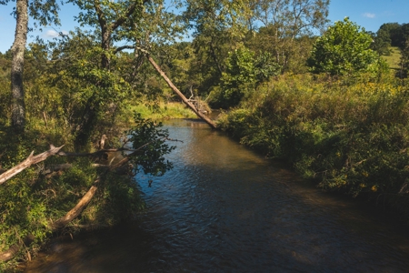 Land for Sale in Floyd County VA! - image 9