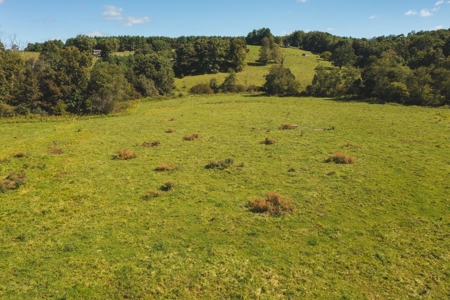 Land for Sale in Floyd County VA! - image 5