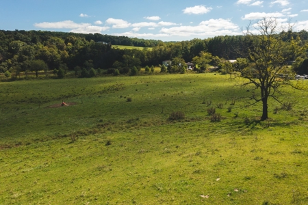 Land for Sale in Floyd County VA! - image 20