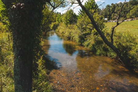 Land for Sale in Floyd County VA! - image 13