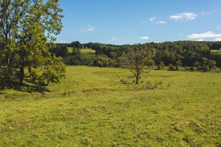 Land for Sale in Floyd County VA! - image 17