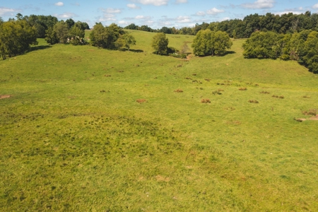 Land for Sale in Floyd County VA! - image 16