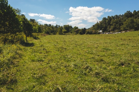 Land for Sale in Floyd County VA! - image 6
