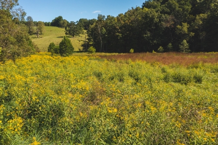 Land for Sale in Floyd County VA! - image 12
