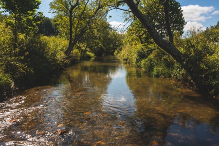 Land for Sale in Floyd County VA! - image 10