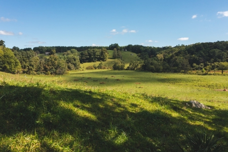 Land for Sale in Floyd County VA! - image 19