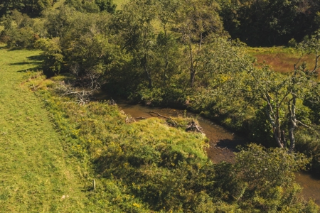 Land for Sale in Floyd County VA! - image 14