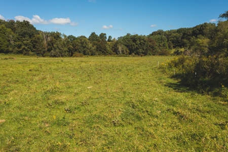 Land for Sale in Floyd County VA! - image 8